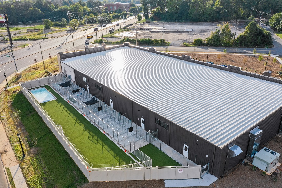 06 - Charlotte Wilkinson PPR -